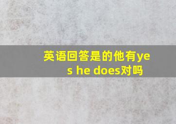 英语回答是的他有yes he does对吗